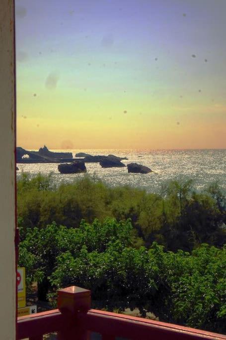 Appartement Le Sahel - Vue Imprenable Sur L'Ocean Biarritz Eksteriør billede