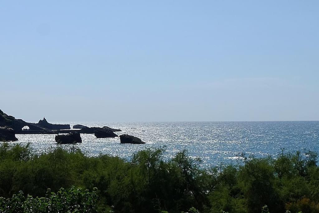 Appartement Le Sahel - Vue Imprenable Sur L'Ocean Biarritz Eksteriør billede